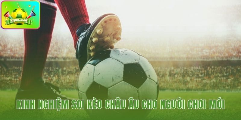 Lưu ý khi phân tích kèo châu Âu là gì và các lỗi thường gặp