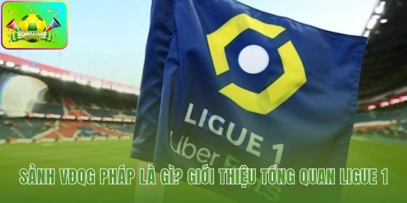 Hình minh họa bóng đá Pháp 1
